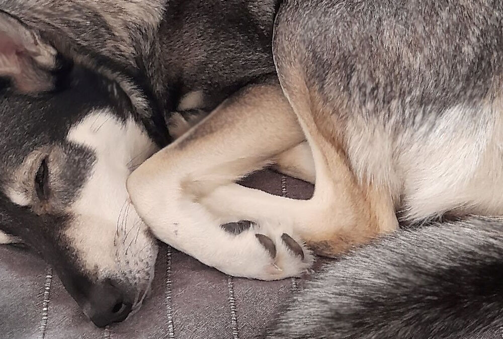 accomodation header 2000x667