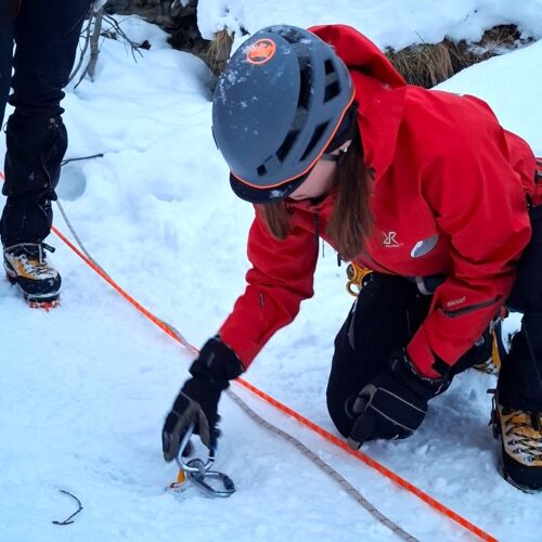 half image company 1500x1500