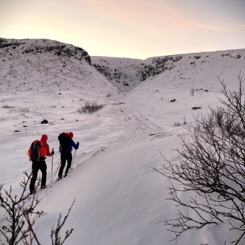 half image guide 1500x1500