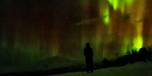 norrsken header 2000x677