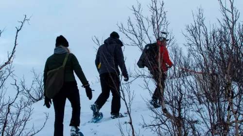 om snöskor 1280x1000