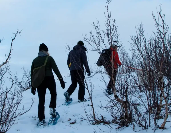 om snöskor 1280x1000