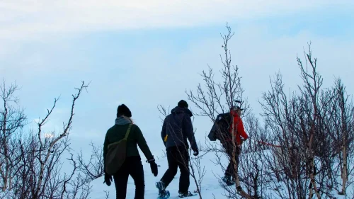 Snöskovandring på nabbar