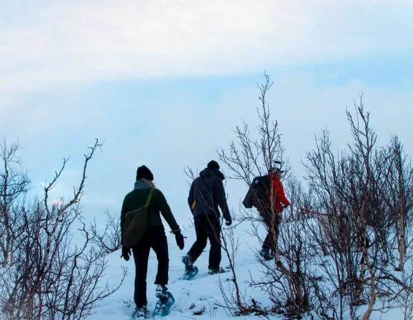 Snöskovandring på nabbar