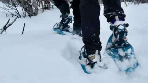 BOOK SNOW... 2 2000X400