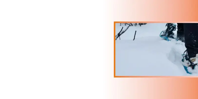 BOOK SNOW... 2 2000X400